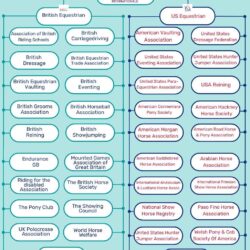 British and USA Equestrian Organisations chart