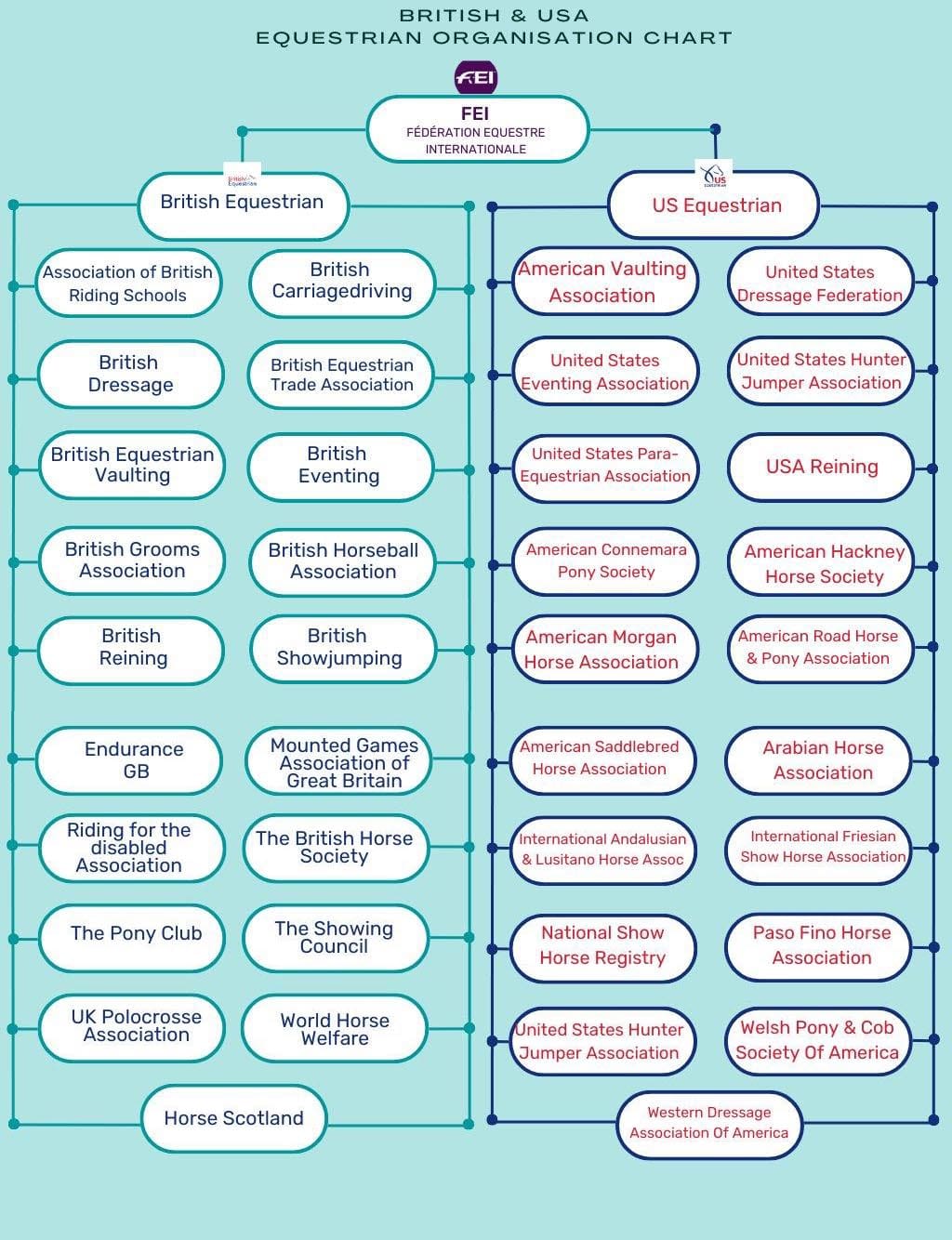 Equestrian Organisations Chart