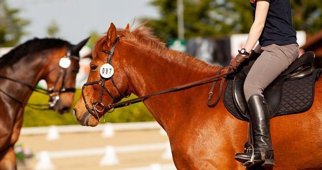 British Dressage Rules