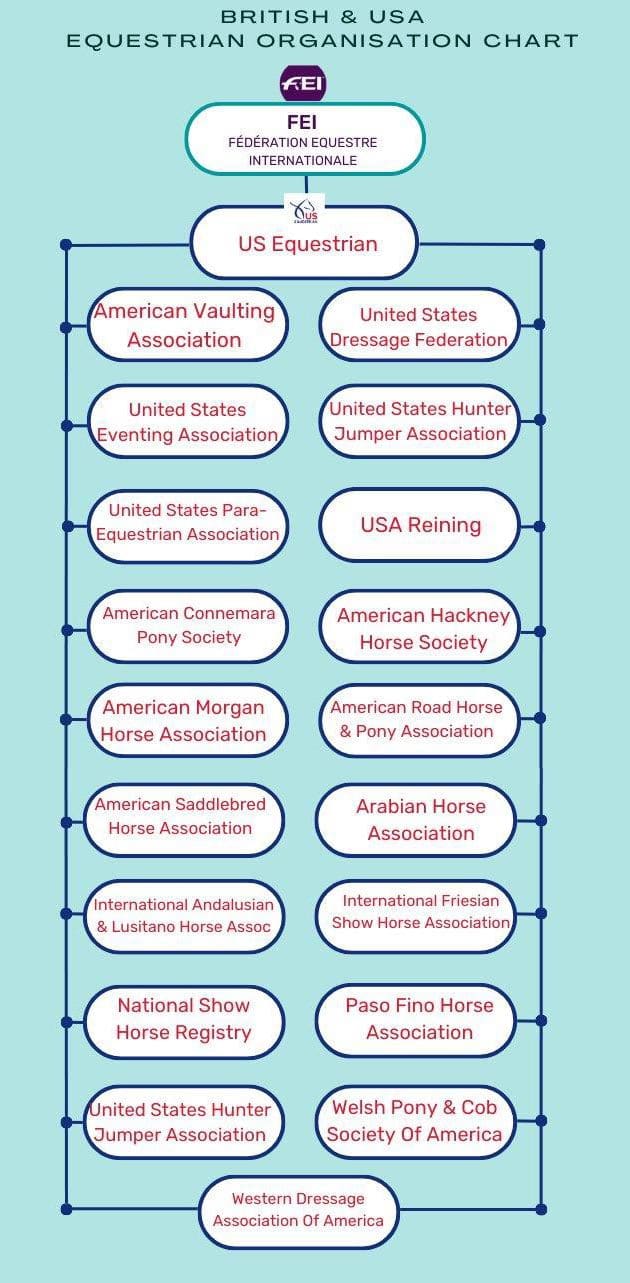 American Equestrian Organisations