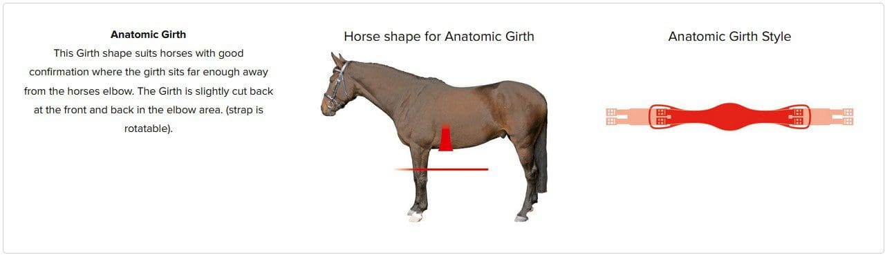 Anatomic shaped girth