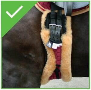 Best Horse Girth