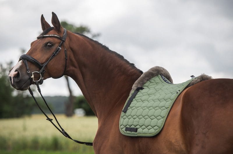 How to fit a saddle pad to a horse