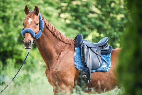 Mattes Blue Velvet Saddle Pad