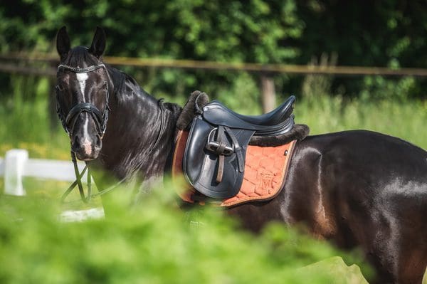 Mattes Orange Velvet Saddle Pad