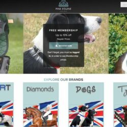 The Launch of Pink Equine's redesigned website