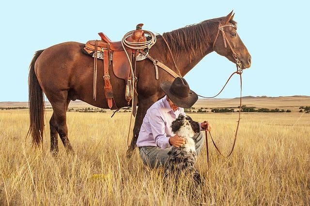 Cowboy with Western Saddle and Western Horse Tack