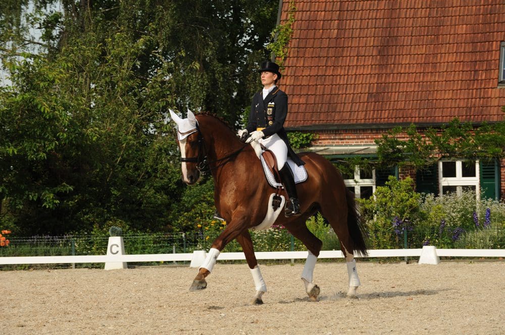 horse girths