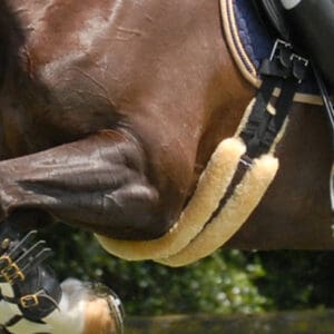 Best Girth for Sensitive Horses