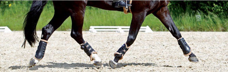 Mattes Dressage Boots