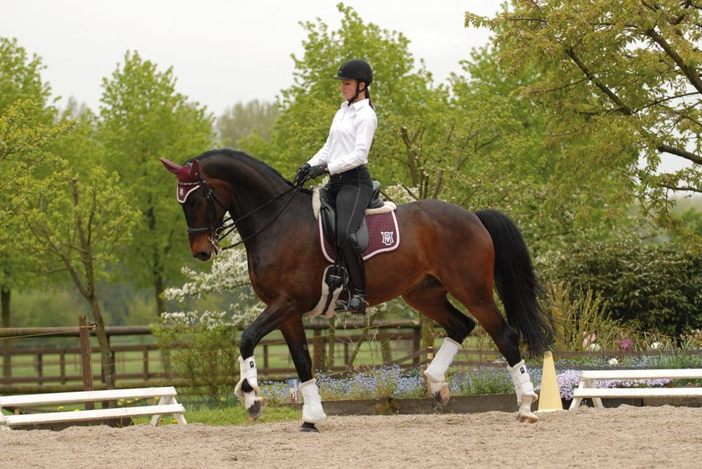 Mattes horse girths