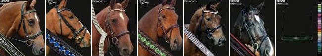 Horses Bridle