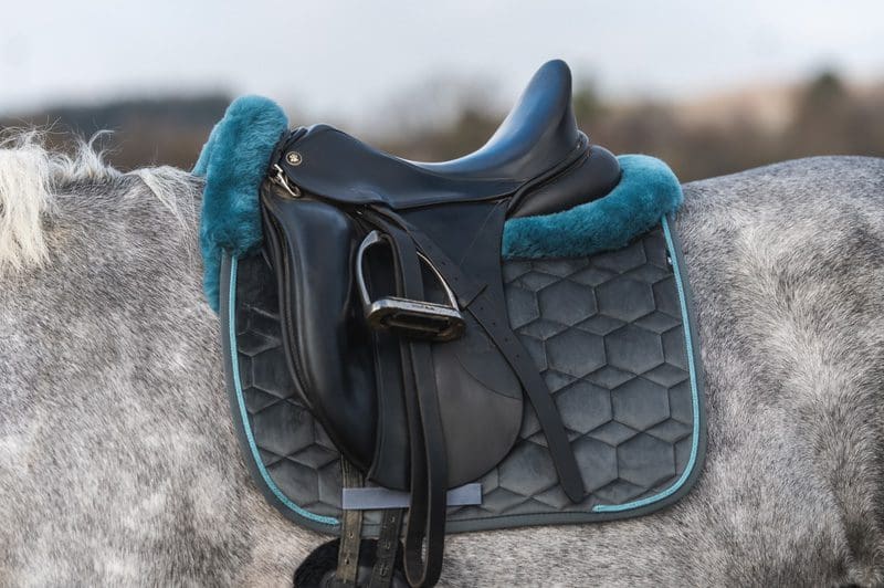 saddle pad for horses