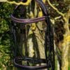 Black Rose Bridle Main