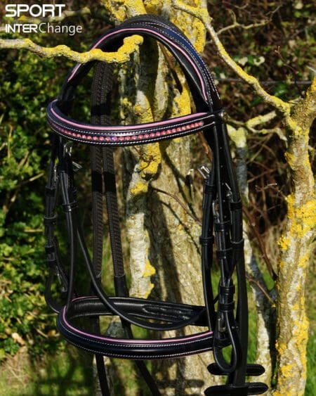 Black Rose Bridle Main
