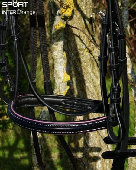 Black Rose Noseband