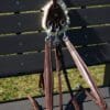 Dark Tan  Point Main