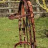 Dark Tan Bridle Main