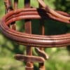 Dark Tan Bridle Noseband