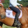 Mattes Trekking Pad Fielder