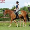 Mattes Trekking Pad on Horse