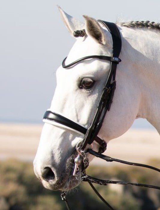 PS of Sweden GP Double Bridle