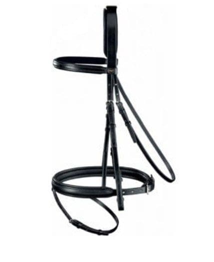 Passier Aquarius Padded Head Bridle