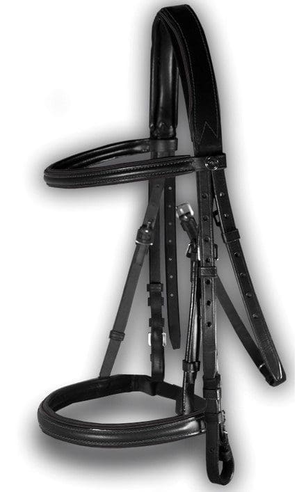 Pink Equine Ergonomic Bridle