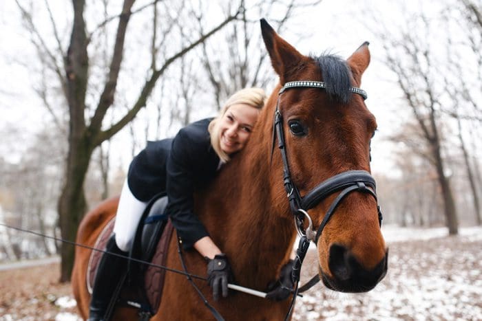 Best Bridle for ear shy horse