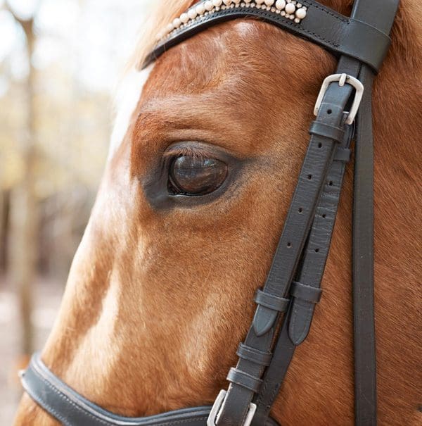 best horse bridles