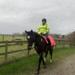 Asymmetric Girth Pink and Black sheepskin