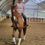 Pink Equine Curved Diamante Browband 3 Sport Custom Colour Piped Swarovski Crystal Browband photo review