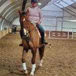 Pink Equine Curved Diamante Browband 1 Sport Custom Colour Piped Swarovski Crystal Browband photo review