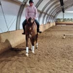 Pink Equine Curved Diamante Browband 2 Sport Custom Colour Piped Swarovski Crystal Browband photo review
