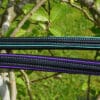 Pink Equine Sport Colour Piped Straight Browband 2