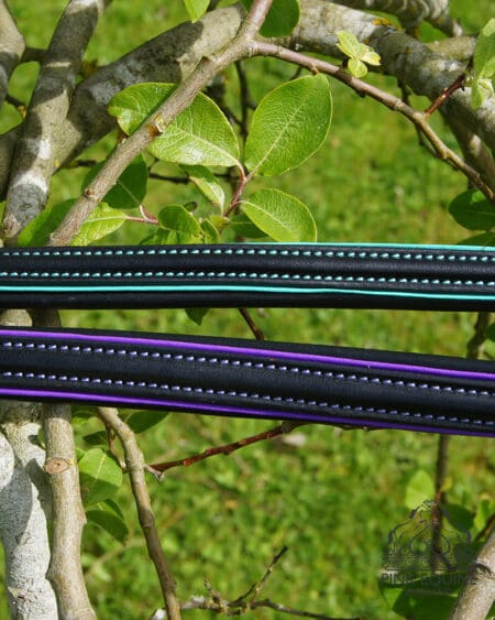 Pink Equine Sport Colour Piped Straight Browband 2