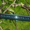 Pink Equine Sport Colour Piped Straight Crystal Browband 3