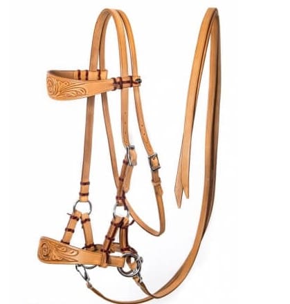 A guide to different types of bridles? 8 Western Bridle