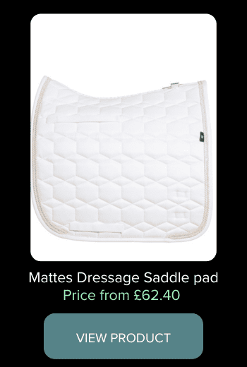 White dressage saddle pad
