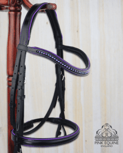 black leather bridle