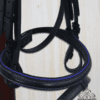pony purple noseband