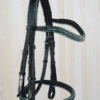 teal wave crystal bridle 1