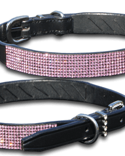 Dog Collars