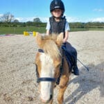 Sport Crystal Pony Bridle