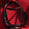 Alegria Bridle 1
