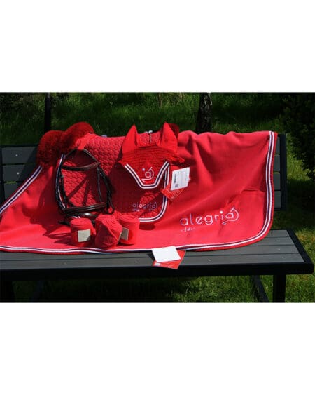 Alegria Kit Main