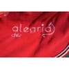 Alegria Rug 1