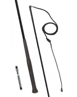 Fleck horse lunge whip