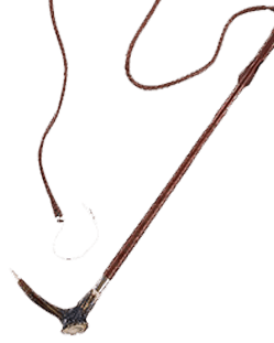 Speciality Equestrian Whips