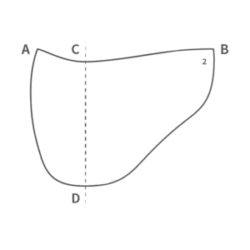 Mattes Western Endurance Pad Size Guide